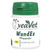 cdVet WondEx Powder 15 g