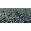 From The Field 2-Ounce No Mess Catnip Pellet Bag