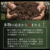 遠赤青汁 V1