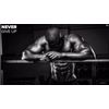 Pure Nitric Oxide - NITRIC OXIDE 2400mg - Improves Brain Functioning - 3 Bottles