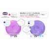 Color Butter Shocking Purple cb-SP