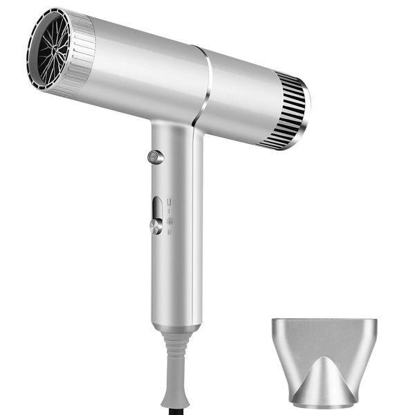 1000 Watts Hair Dryer Ceramic Ionic Blow Dryer Lightweight for Travel Silver