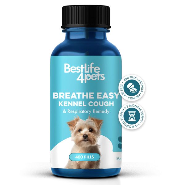 Dog Kennel Cough & Respiratory Support Remedy