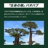 BAOBAB Shampoo x 1 (01)