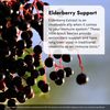 Irwin Naturals Immuno Shield with Elderberry 60 Sgels