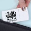 'Welsh Dragon' Pill Box with Tablet Splitter (PI00030122)