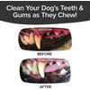 BrushBone - Dog Toothbrush Bone - Bacon Bonanza - 6 Pack