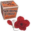 House of Marbles Squirting Flower