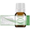 Essential Oil Set 3 - 5 ml. 100% Pure Natural Lavender Peppermint Eucalyptus