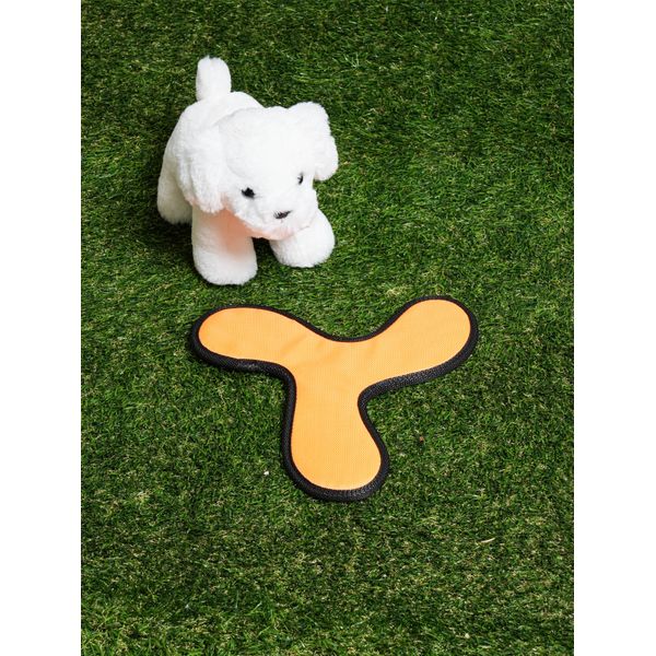 [Pet] Boomerang Toy