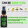 Beard Kit Beard Growth Grooming Kit w/Beard Foam/Shampoo/W