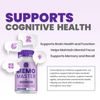 (5 Pack) Memo Master Supplement Capsules – Memo Master All Natural Memory