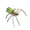 Mechanical Metal DIY 3D Insect Brass Puzzle (Gatling Spider)