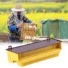 Removable Plastic Pollen Trap with Ventilated Tray,for Beekeeping Industry, Cleaner Pollen Collection