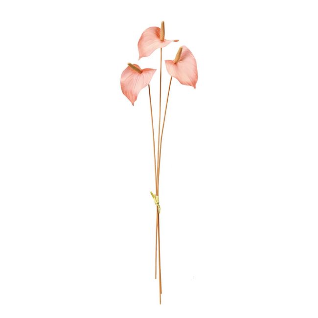 Tokyodo FM000422-002 Artificial Flowers MAGIQ Satina Anthurium Bundle, Light Pink, Flower Diameter 3.1 x L19.7 inches (8 x 50 cm), 3 Bundles