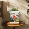 Smart Betta Fish Tank 1.5 Gallon Aquarium kit self Cleaning, Filter LED Light...