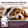 K9 Select Melatonin For Dogs - Calming Chews - Dog Melatonin For Sleep