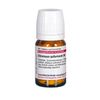 Chininum sulfuricum D6 DHU Tabletten, 80 St. Tabletten