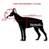 Hunter - Adjustable Strap 200cm Red Thread