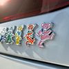 The Bear 5-Pack Car Badge Emblem in Multicolor