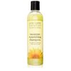 Jane Carter Solution Moisture Nourishing Shampoo 8oz