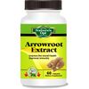 Arrowroot Extract, Improves Immunity, Kidney, Heart, Lowers Cholesterol