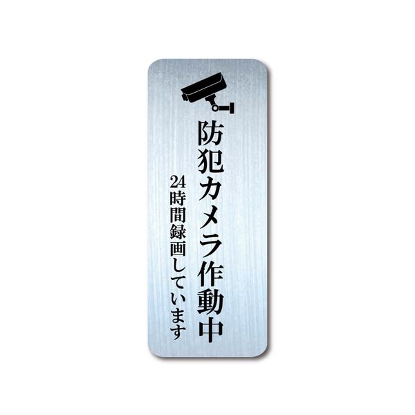 Security Camera In Operation, Plate Style, Mincho Body, Magnetic Type/Sticker Type (Silver (Magnet Type), M Size)