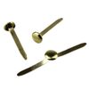 Whitecroft Essentials 25 mm Paper Fasteners (Pack of 200)