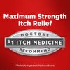 Cortizone 10 Maximum Strength Ointment 2 oz., 1% Hydrocortisone Ointment for Itch Relief