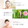 Mud Pack Nature's Four Clear & Charge Clay Organic Pack, Pores, Blackheads, Rinse Off, Clay Mask, Additive-Free, Made in Japan, Neo Natural, 3.5 oz (100 g), 1 Bottle