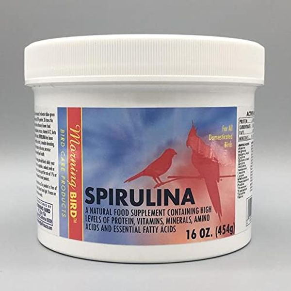 Morning Bird Spirulina, Supplement for Caged Birds, Organic Bird Food Supplement with Vitamins, Proteins, and Amino Acids for Parakeets, Cockatiels, Budgies, Finches, Canaries, and Parrots, 16 oz