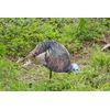MONTANA DECOY Dinner Belle Hen Decoy, Model:0043 , Black