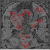 Paradigm Of Chaos [VINYL]