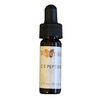 Vivier C E Peptides 1 oz + travel trial size Vivier C E Peptides