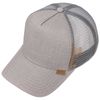 Djinns Trucker HFT Linen 2013 Cap Grey, Grey, Plain, gray, Unit size