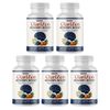 ClariZen Natural Nootropic Formula for Memory & Focus Support - 5 Bottles