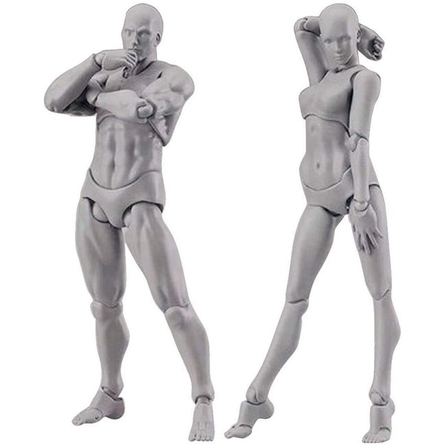 AXITWXIT Body Kun Doll, Artists Manikin Blockhead Jointed Drawing Mannequin for Artists Drawing Model Figures for Figure Male+Female Set(Grey)