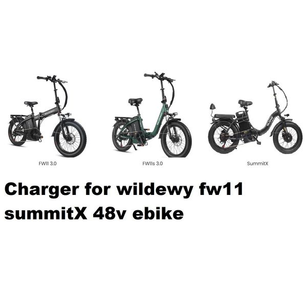 🔥power supply battery charger for wildeway fw11 summitx 48v ebike