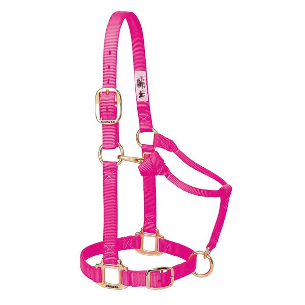 Weaver Leather Original Adjustable Nylon Horse Halter, Weanling/Pony, Diva Pink