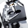 AmScope 40X-2500X LED Lab Binocular Compound Microscope w 3D Mech Stage + Slides