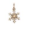 Eclea Static Static Removal Snowflake Pet Necklace, Blue, S