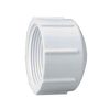 Thrifco 8113722 1-1/4 Inch PVC Threaded Cap SCH 40