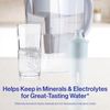 plus Water Filter, Bpa-Free, High-Density Replacement Filter for Pitchers and Di