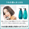 Segreta Conditioner Curl Hair Unit, 15.2 fl oz (430 ml)