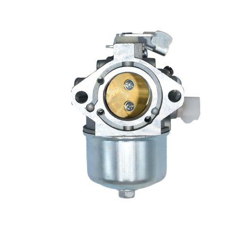495778 Carburetor for 497581 494883 495782 494894 495784 494881 697594 698171 692684 Lawn Mower Motor 257707-0124 257707-0127 257702-0130 257702-4001
