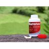 Nerve Pain Relief Neuropathy Pain Relief Nerve Support Formula