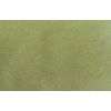 Sam Poole - Botanical Stains - Carrot Top Green