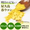 春ウコン300粒 4個セット