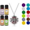 Dragonfly Pendant Necklace Essential Oil Diffuser Aromatherapy Gift Set 17 Piece