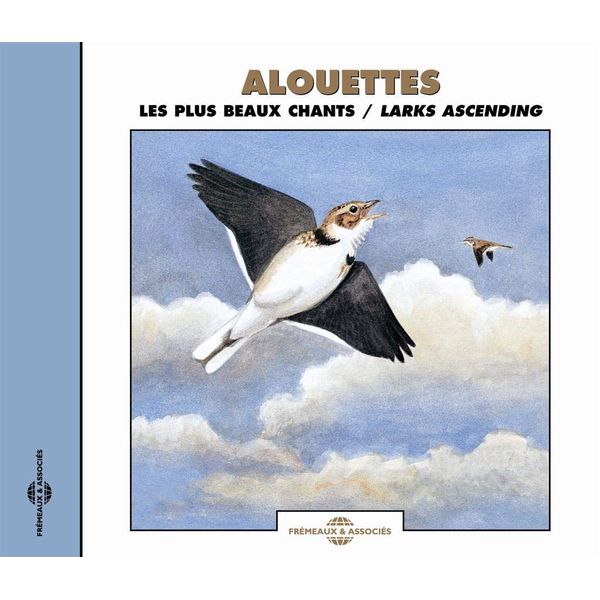 Larks Ascending